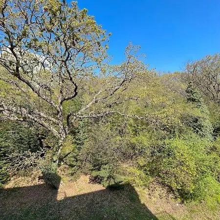 Peaceful Getaway @ Iglika Complex + Parking Apartment